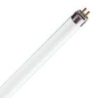 T5 lamp
