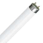 T8 lamp