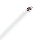 TL lampen