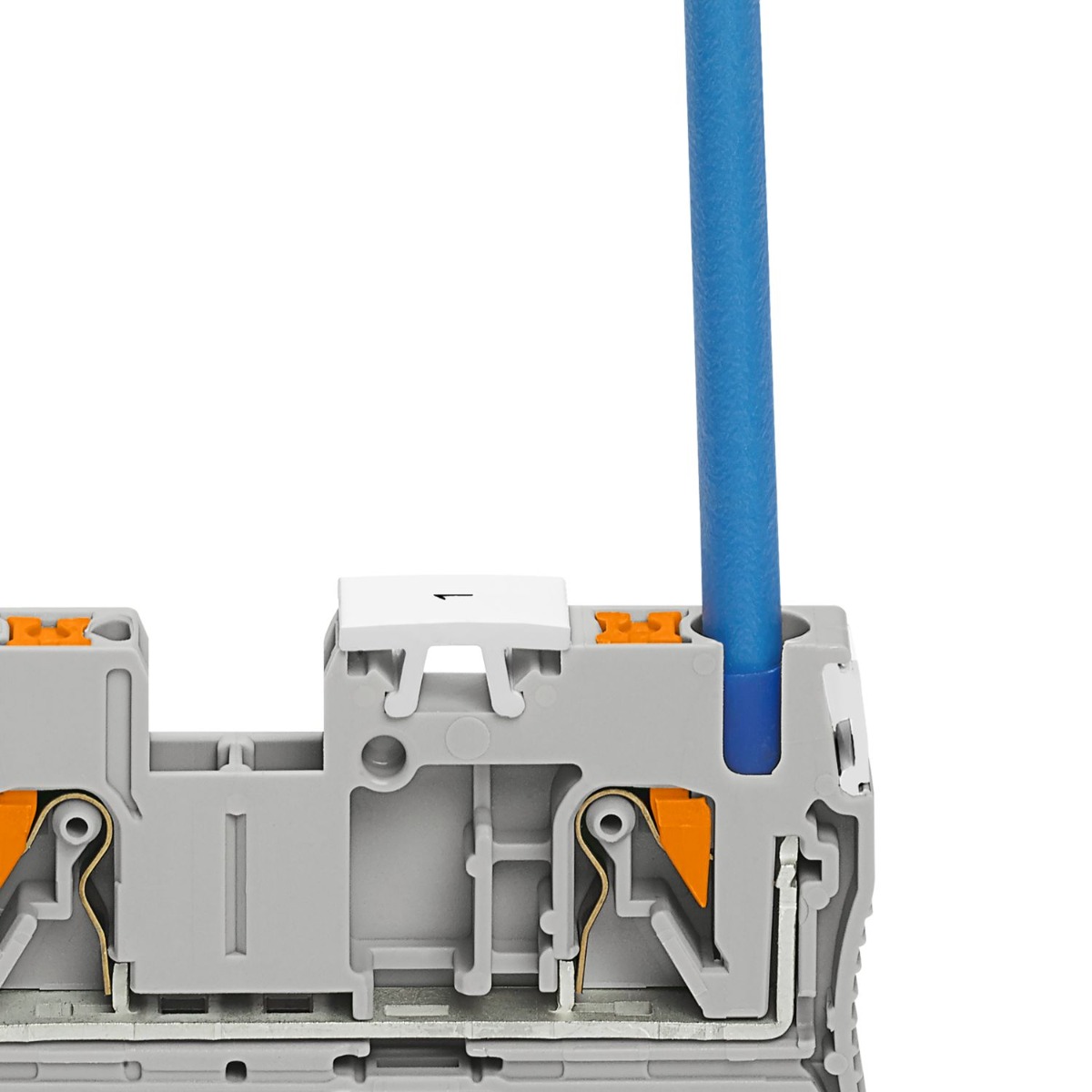 Miniatuur van Phoenix Contact rijgklem met push-in aansluiting 4 mm² - grijs (PT 4)