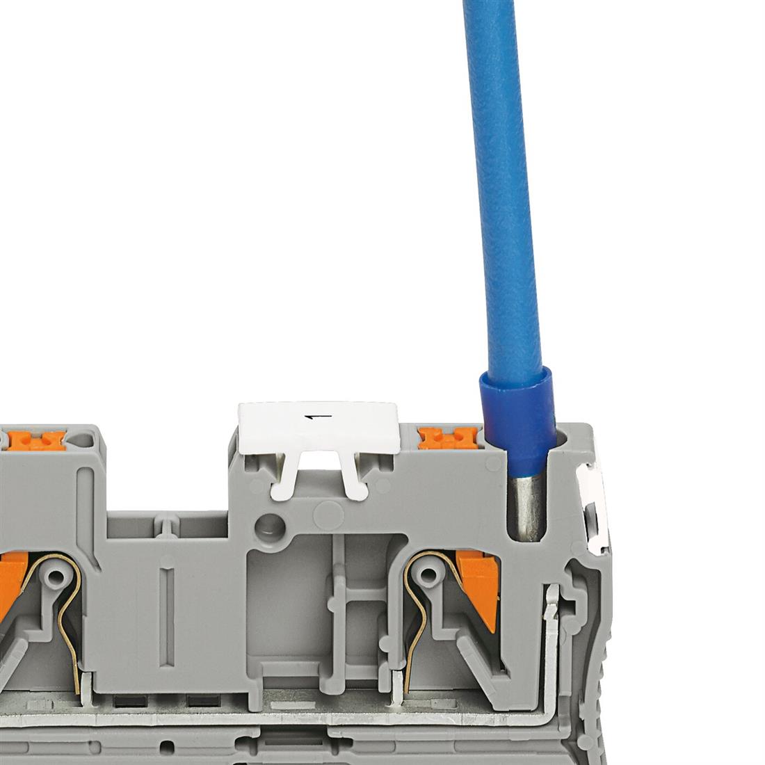 Miniatuur van Phoenix Contact rijgklem met push-in aansluiting 6 mm² - blauw per 50stuks (PT 6-QUATTRO BU)