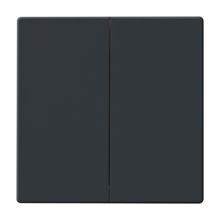 Miniatuur van Busch-Jaeger Friends of Hue schakelaar - Carat/Future Linear antraciet (2CKA006730A0133)