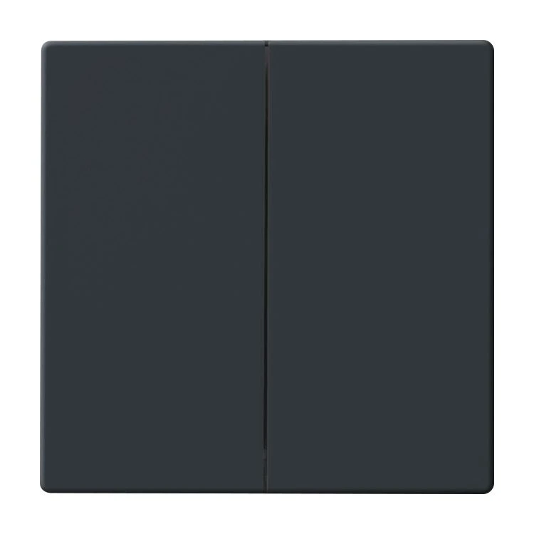 Miniatuur van Busch-Jaeger Friends of Hue schakelaar - Carat/Future Linear antraciet (2CKA006730A0133)