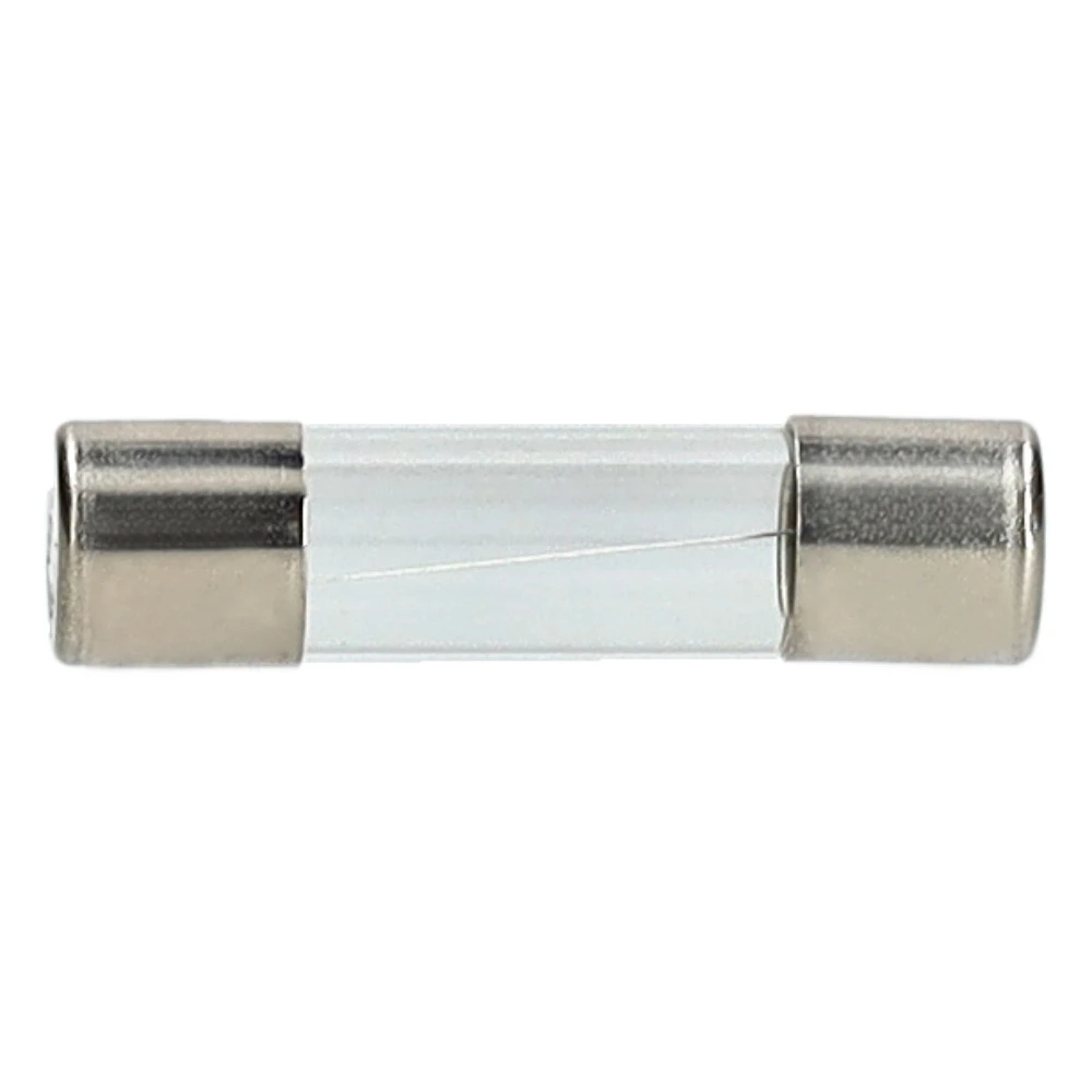 Miniatuur van glaszekering 0,25A snel Ø5x20mm per 10 stuks (62051)