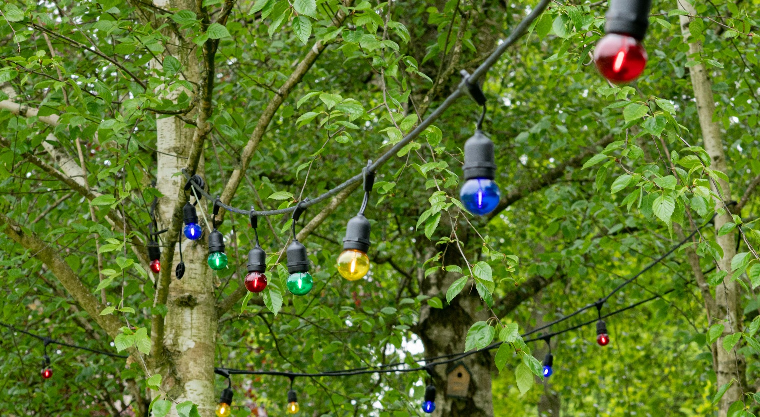 Miniatuur van Bailey lichtsnoer 15 fittingen E27 hangend 2x1,5 mm2 15 meter IP44 - zwart (143417)