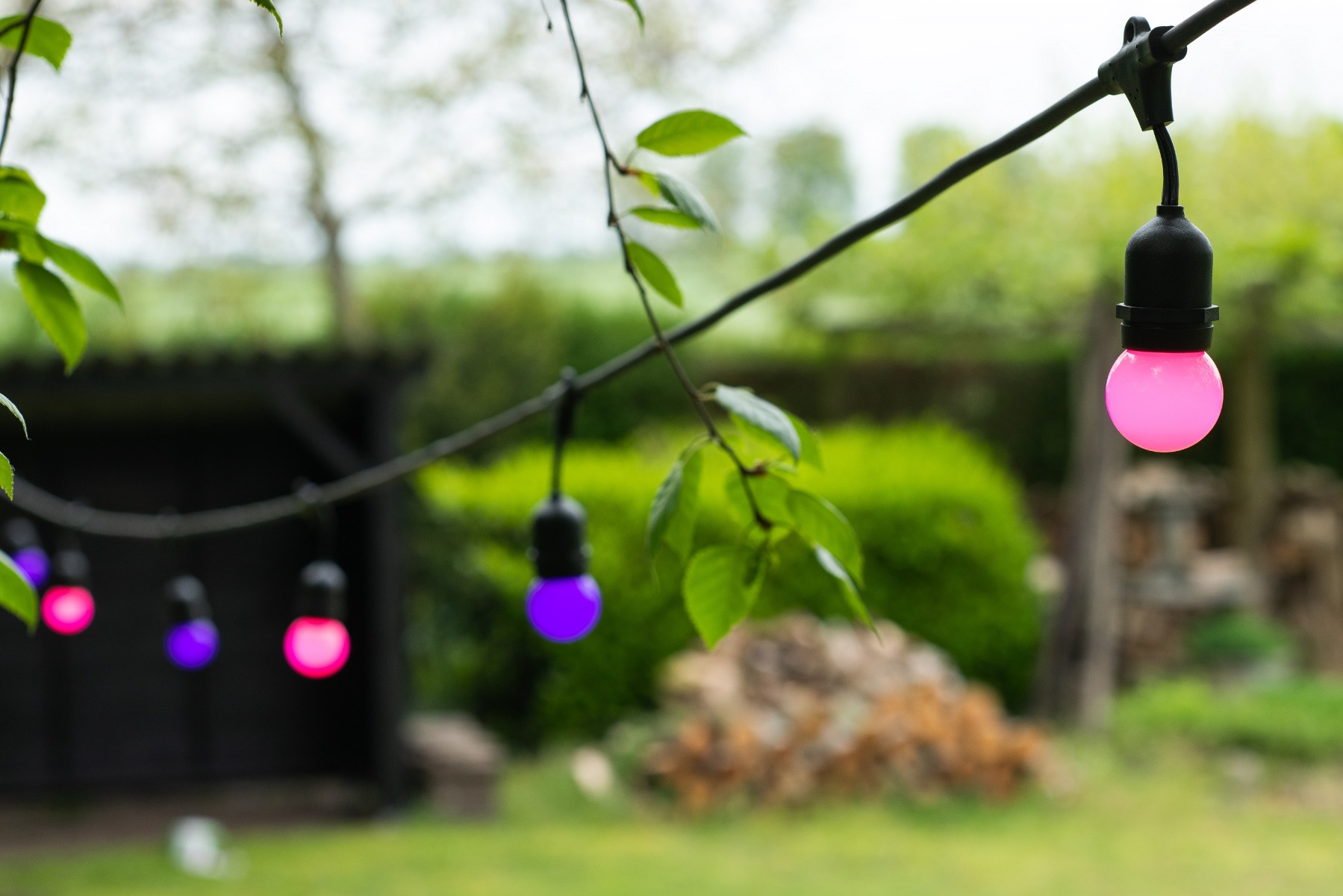 Miniatuur van Bailey lichtsnoer 15 fittingen E27 hangend 2x1,5 mm2 15 meter IP44 - zwart (143417)