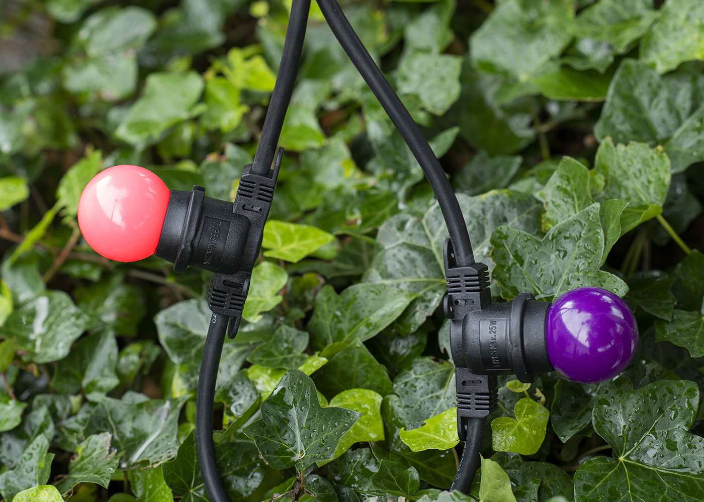 Miniatuur van Bailey LED kogel E27 roze 1W 30lm IP44 (143328)