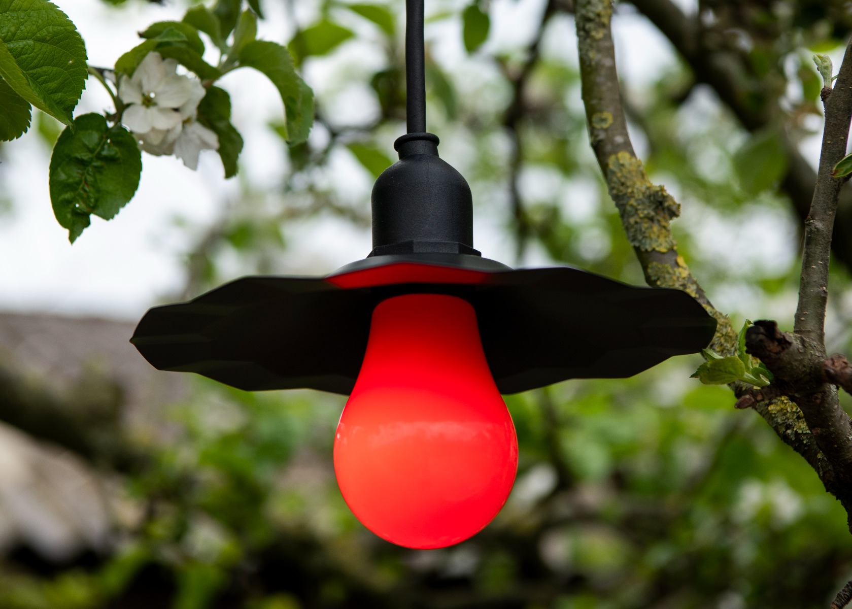 Miniatuur van Bailey LED peer E27 rood 2W 20lm IP44 (80100038985)