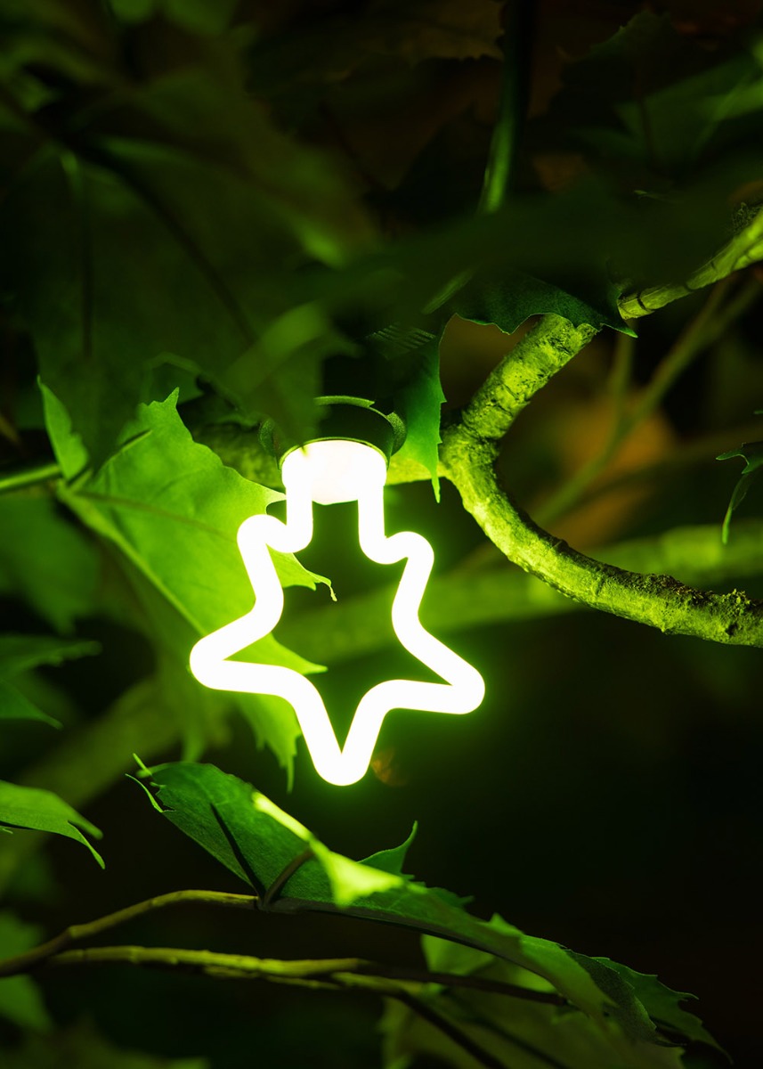 Miniatuur van Bailey LED neon ster E27 groen 4W 300lm IP44 (143067)