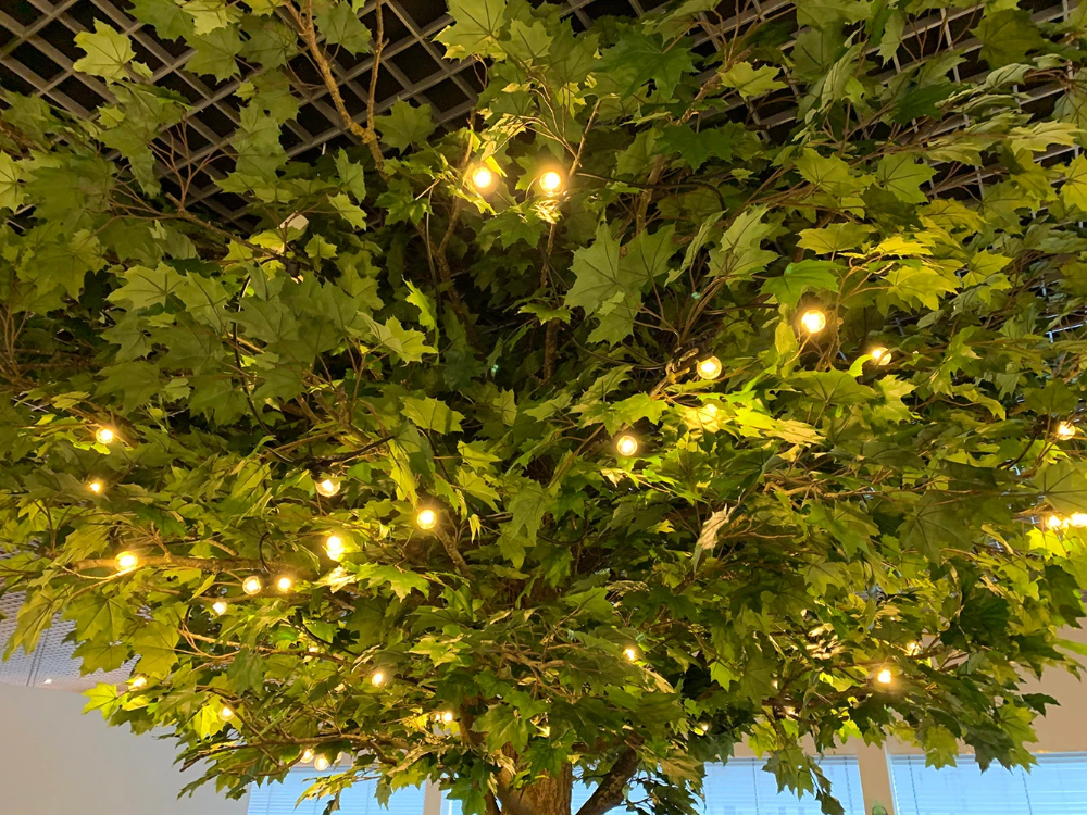 Miniatuur van Bailey LED helder kogel E27 2500K 0.7W 50lm IP44 (80100039064)