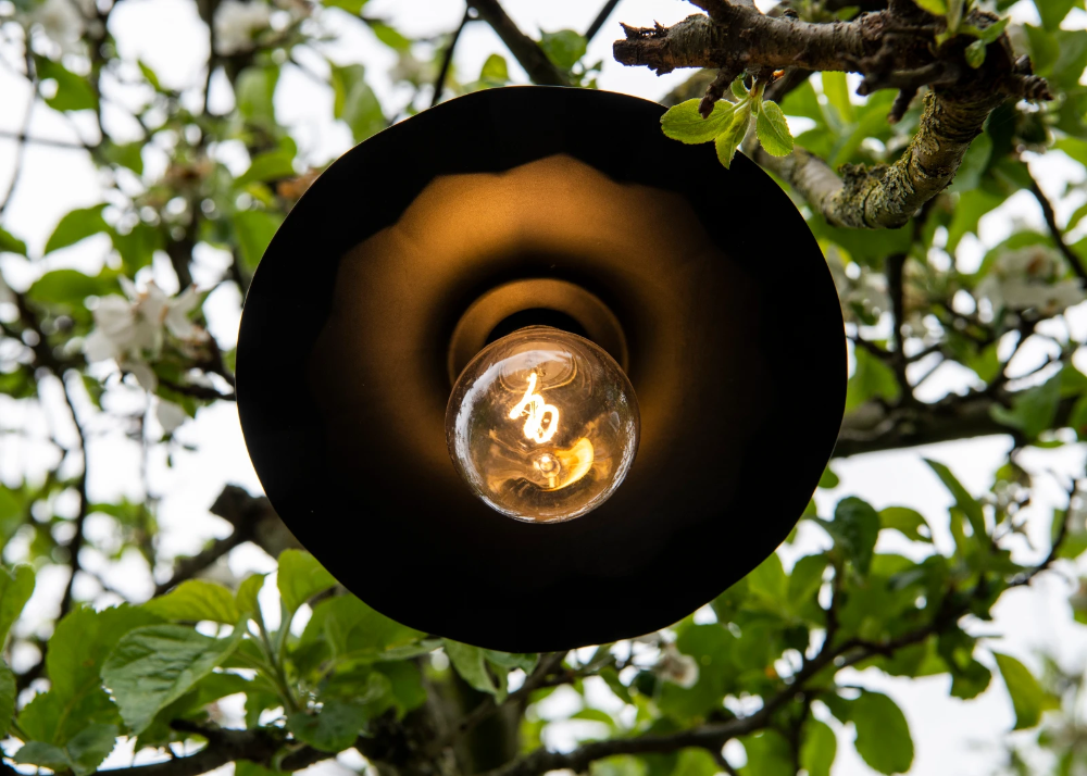 Miniatuur van Bailey LED spiraled helder peer E27 2700K 2W 175lm IP44 (143862)