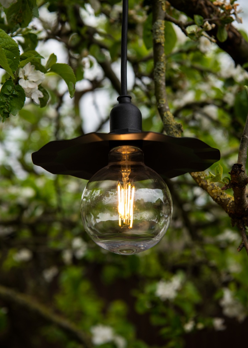 Miniatuur van Bailey LED filament helder globe E27 2700K 4W 450lm IP44 (142756)