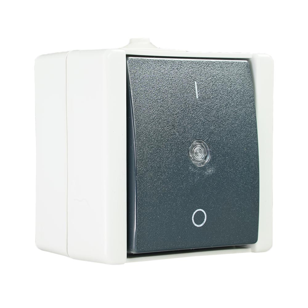 Miniatuur van Aquadro schakelaar 2-polig 10A IP44 - grijs (4088110)