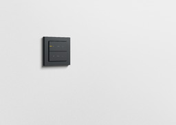 Miniatuur van Gira sokkel 2-voudig tastsensor 4 Komfort voor KNX - Systeem 55 (504200)