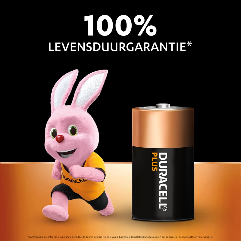 Miniatuur van Duracell Plus alkaline batterijen 100 D 1,5V - verpakking 2 stuks (D141988)