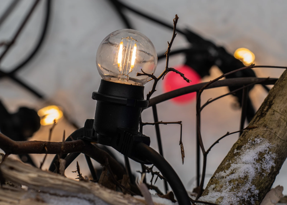 Miniatuur van Bailey LED lamp filament bol E27 8W 710lm warm wit 2200K dimbaar (142592)