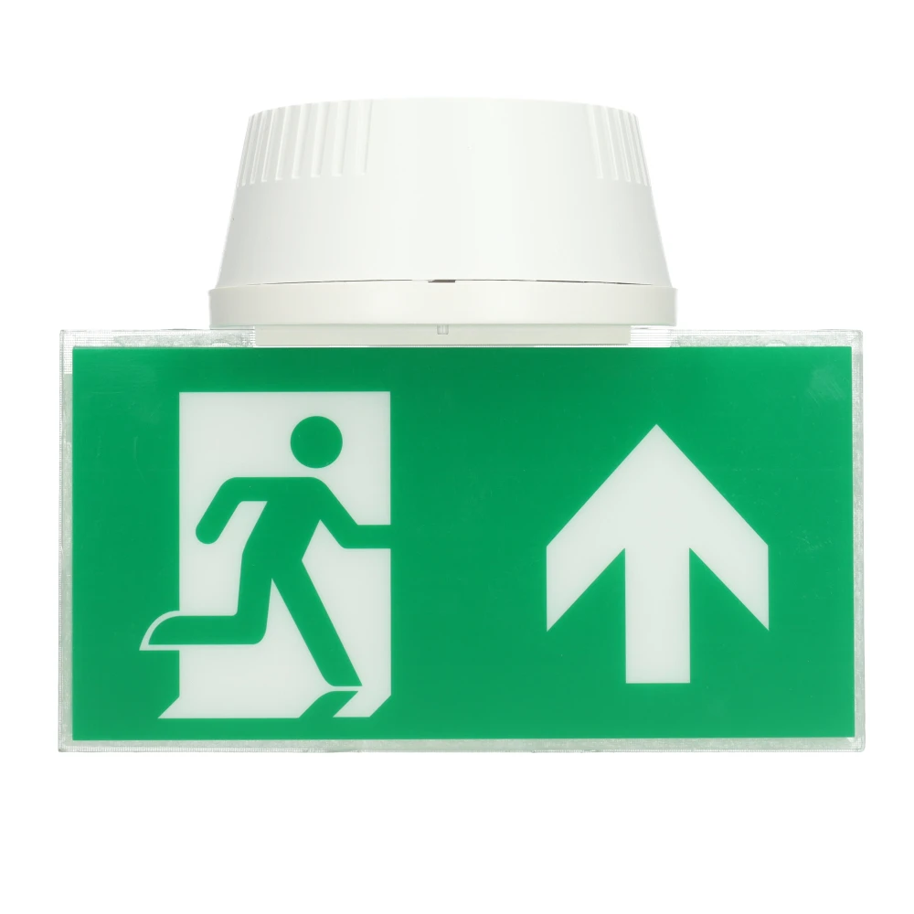 Miniatuur van LED Republic noodverlichting in- en opbouw onderhangend 3h autotest IP20 wit (8785278182871)