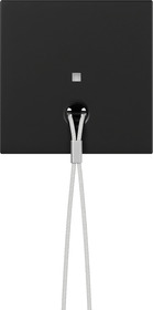 Miniatuur van Gira afdekking voor trekschakelaar/-drukcontacten met controlevenster - systeem 55 zwart mat (3638005)