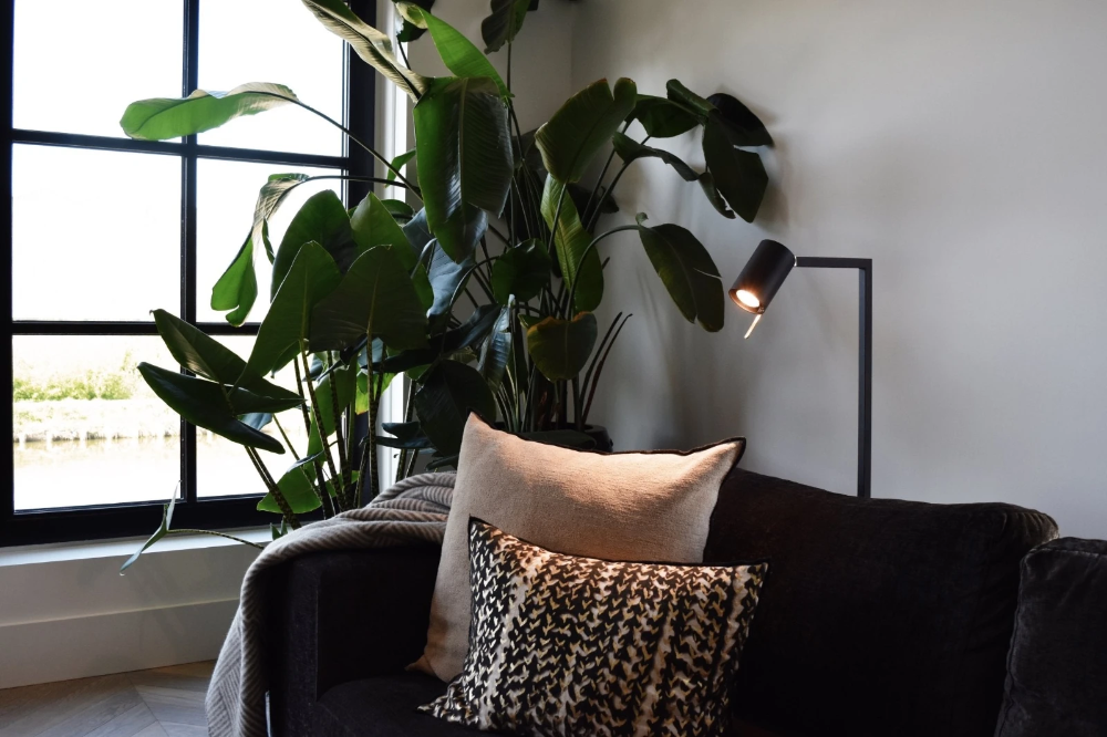 Miniatuur van Calex Smart LED lamp reflector GU10 RGB en CCT 4.9W 345lm - dimbaar (5001003200)