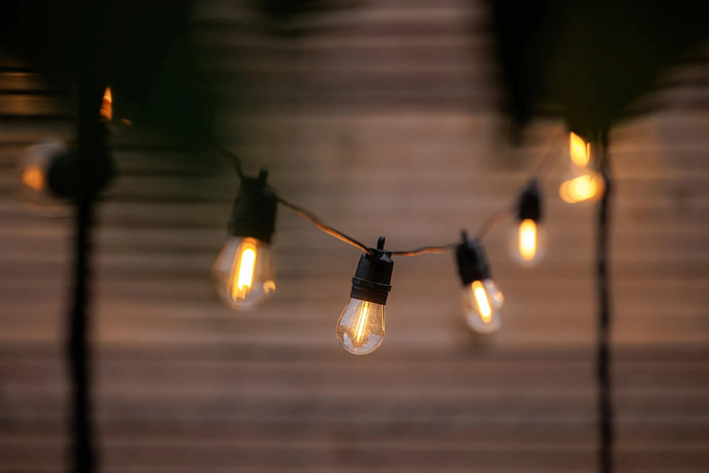 Miniatuur van Garden Lights Partylights filament 10 lampen 12V IP44 5 meter (2612061)