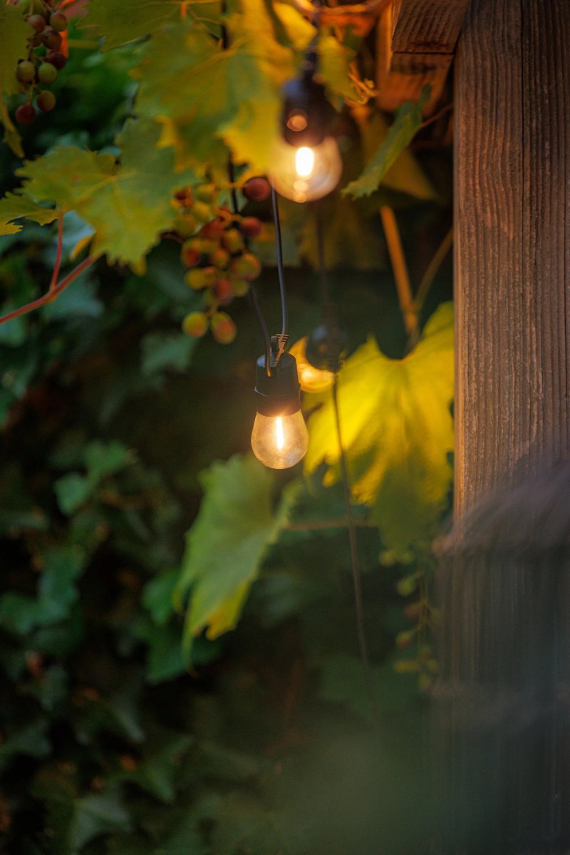 Miniatuur van Garden Lights Partylights filament 10 lampen 12V IP44 5 meter (2612061)