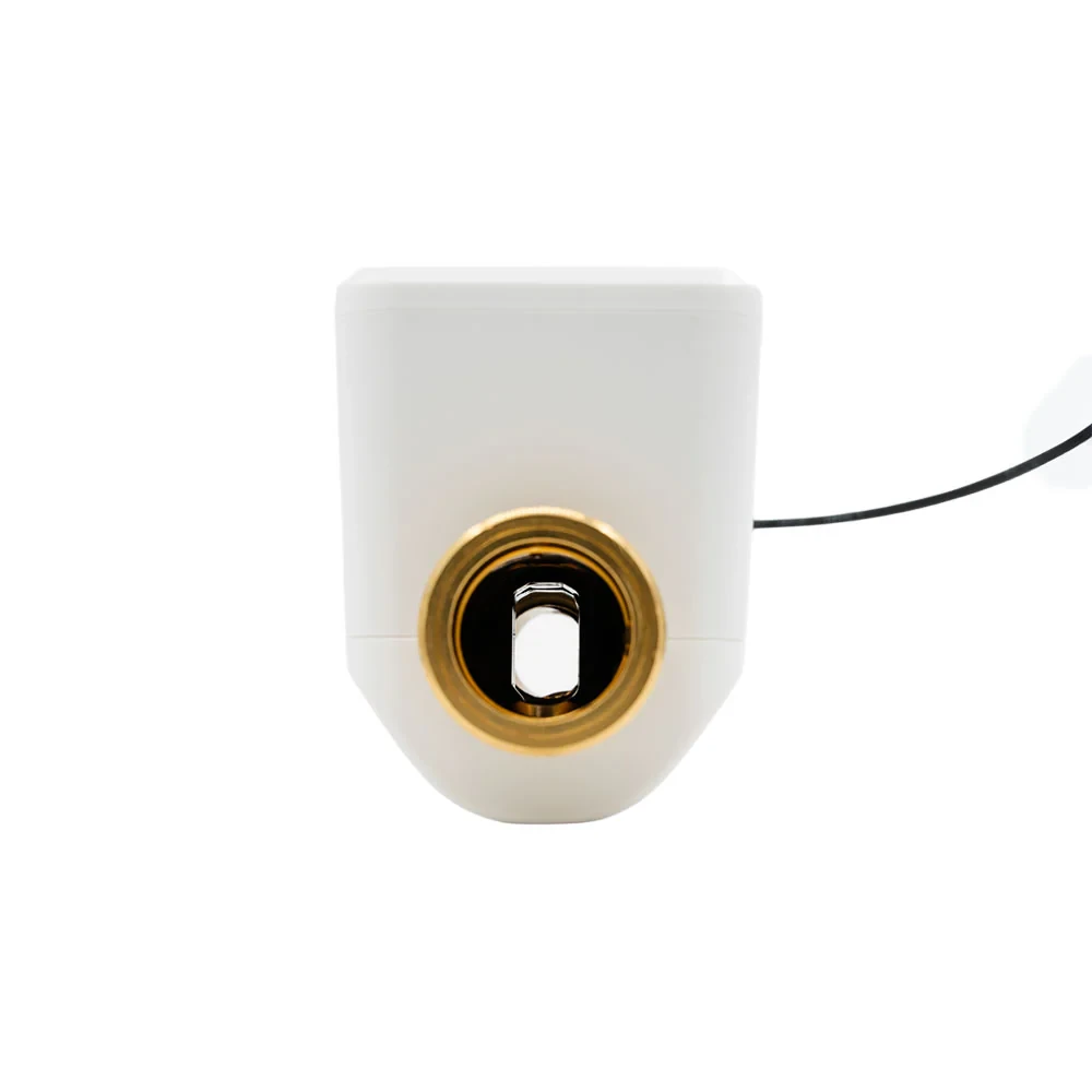 Miniatuur van Shelly Smart Water Valve DN25 waterafsluiter met debietmeting (NAS-WV02W)