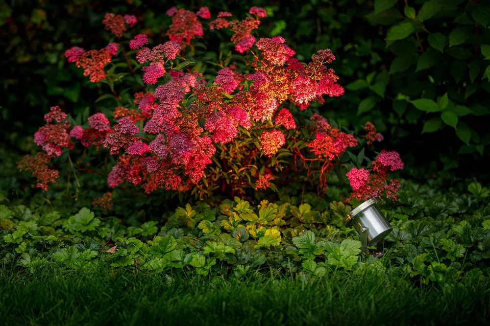 Miniatuur van Garden Lights Arigo grondpin 2.6W 195lm 3000K IP68 - RVS (4116601)