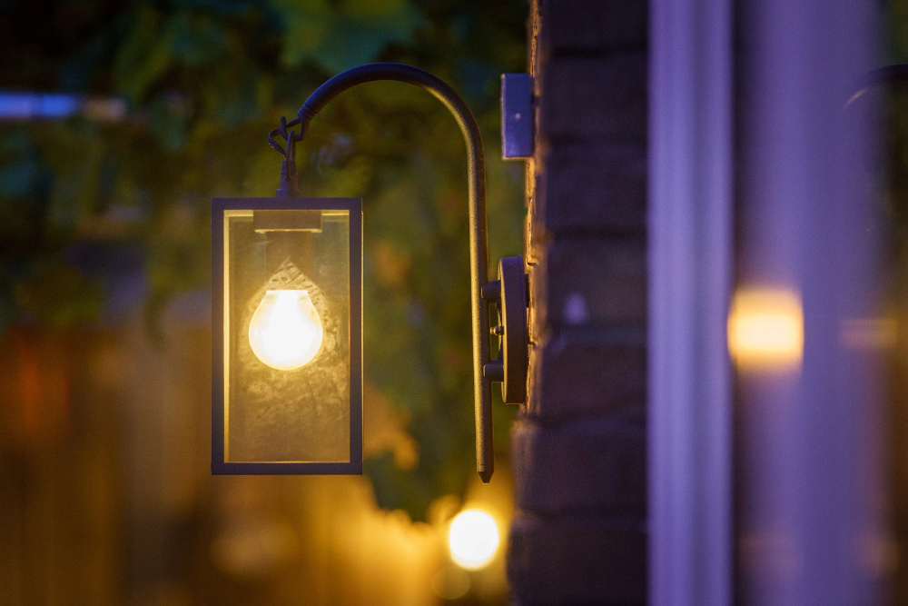 Miniatuur van Garden Lights Columba wandlamp filament LED BA15D 4W 280lm warm wit IP44 zwart (3187011)
