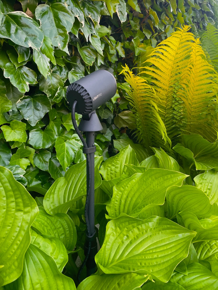 Miniatuur van Light Pro Multispike verstelbaar 39cm - zwart (253A)