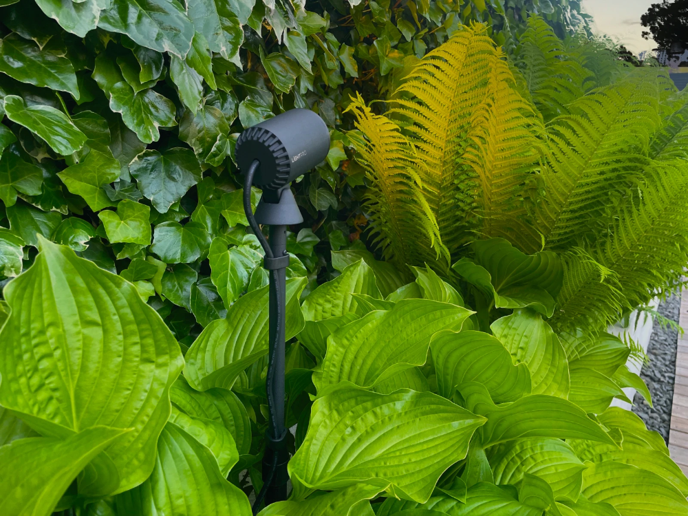 Miniatuur van Light Pro Multispike verstelbaar 39cm - zwart (253A)
