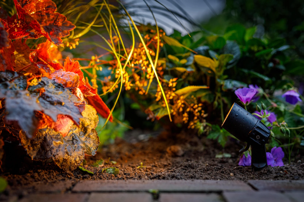 Miniatuur van Garden Lights Neso grondpin 2W 130lm IP44 zwart (2606061)