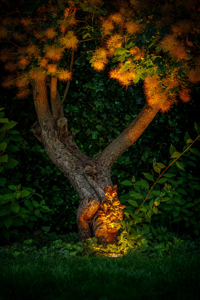 Miniatuur van Garden Lights Rubum grondspot 3.5W 280lm warm wit IP67 zwart (3159011)