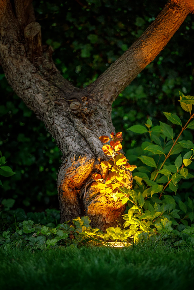 Miniatuur van Garden Lights Rubum grondspot 3.5W 280lm warm wit IP67 zwart (3159011)