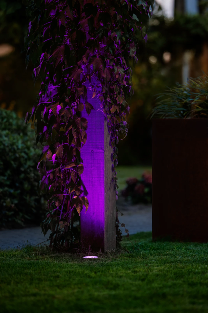 Miniatuur van Garden Lights Rubum Smart grondpin MR16 RGB CCT Ø155x100mm IP67- zwart (3220011)