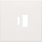Niko centraalplaat voor USB A en C-lader - Original White (101-68002)