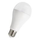 Bailey LED lamp peer E27 20W 2452lm warm wit 2700K (142596)