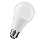 Bailey LED lamp bol E27 9.5W 1200lm warm wit 2700K (145630)