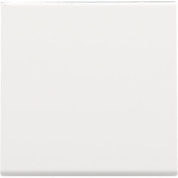 Niko centraalplaat voor elektronische schakelaar, drukknopdimmer of drukknopschakelaar - Pure Steel White (154-31002)