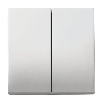 Busch-Jaeger Friends of Hue schakelaar - RVS (6736 FoH-866)