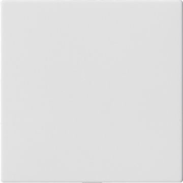Gira blinde afdekking zonder draagring System 55 zuiver wit mat (810827)