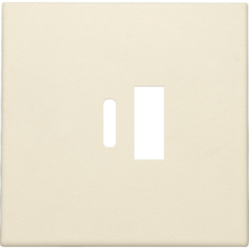 Niko centraalplaat voor USB A en C-lader - Original Cream (100-68002)