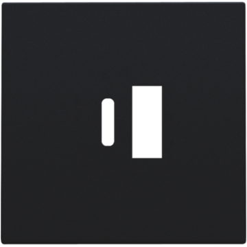 Niko centraalplaat voor USB A en C-lader - Intense Matt Black (161-68002)
