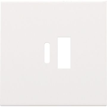 Niko centraalplaat voor USB A en C-lader - Pure Steel White (154-68002)