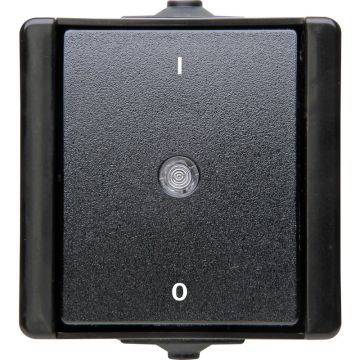 Kopp 2-polig schakelaar 10A IP44 - ProAQA zwart (540205004)