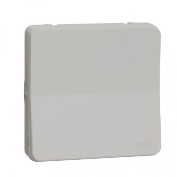 Schneider Electric opbouw tweepolige schakelaar IP55 - Mureva Styl wit (MUR39033)