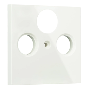 EMhub Quadro55 (by Kopp) centraalplaat CAI radio/TV - zuiver wit glanzend (4088003)