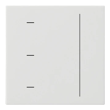 Gira Systeem 3000 touchop systeem 55 zuiver wit (536503)