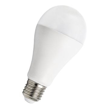 Bailey LED lamp peer E27 20W 2452lm warm wit 2700K (142596)