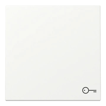 Gira bedieningswip symbool sleutel - systeem 55 zuiver wit mat (328727)