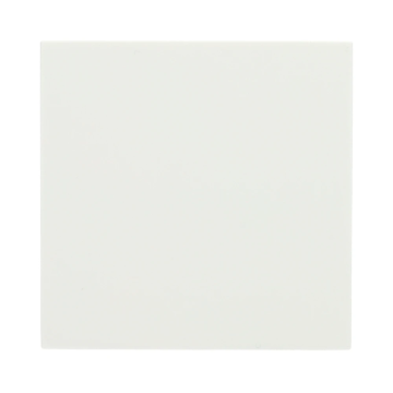 Gira wisselschakelaar bedieningswip - systeem 55 zuiver wit mat (329627)